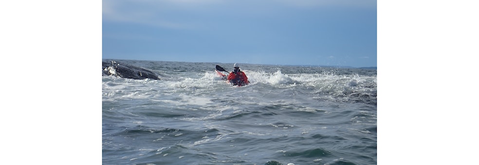 Bølgefestivalen 2024